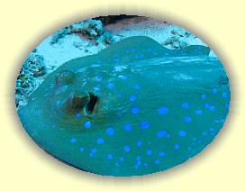 20100919_023 * 3072 x 2304 * (3.23MB)