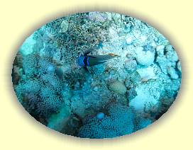 20100919_027 * 3072 x 2304 * (3.73MB)