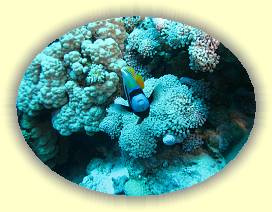 20100919_028 * 3072 x 2304 * (3.51MB)