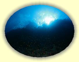 20100920_002 * 3072 x 2304 * (2.92MB)