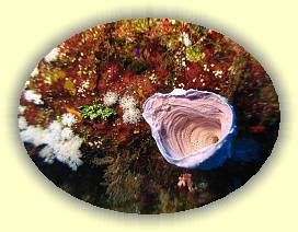 20100920_005 * 3072 x 2304 * (3.31MB)