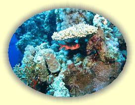 20100920_027 * 3072 x 2304 * (3.68MB)
