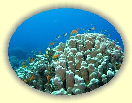 20100921_001 * 3072 x 2304 * (2.75MB)
