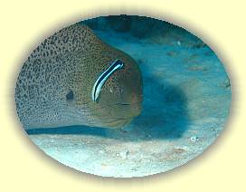 20100922_004 * 3072 x 2304 * (3.02MB)