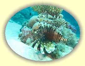 20100922_007 * 3072 x 2304 * (2.67MB)