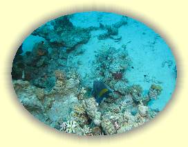 20100922_024 * 3072 x 2304 * (3.36MB)