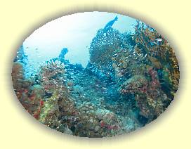 20100922_026 * 3072 x 2304 * (3.26MB)