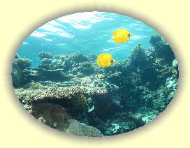 20100922_033 * 3072 x 2304 * (3.26MB)