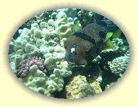 20100923_009 * 3072 x 2304 * (2.82MB)