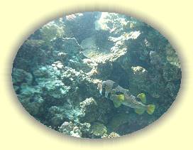 20100923_015 * 2310 x 1732 * (2.49MB)