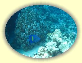 20100923_037 * 2627 x 1972 * (3.02MB)