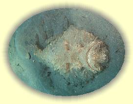 20100925_008 * 3072 x 2304 * (3.87MB)