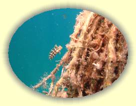 20100925_013 * 3072 x 2304 * (2.48MB)