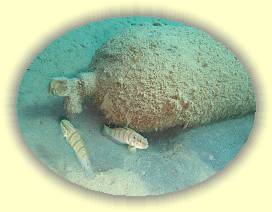 20100925_016 * 3072 x 2304 * (5.16MB)
