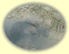 20100925_020 * 3072 x 2304 * (3.82MB)