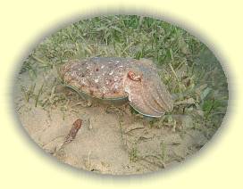 20100925_021 * 3072 x 2304 * (3.94MB)