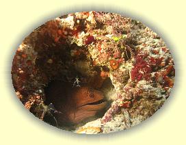 20111112_149 * 2756 x 2067 * (4.33MB)