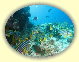 20111115_036 * 3072 x 2304 * (3.26MB)