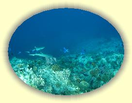 20111115_039 * 3072 x 2304 * (2.56MB)