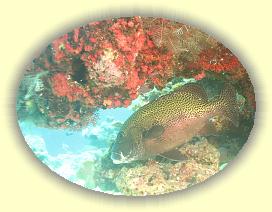 20111115_166 * 1996 x 1497 * (2.21MB)