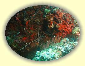 20111115_191 * 2548 x 1911 * (3.67MB)