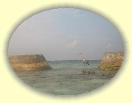 20111117_003 * 3072 x 2304 * (2.18MB)