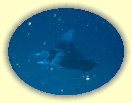 20111118_013 * 3072 x 2304 * (3.16MB)