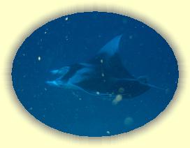 20111118_014 * 3072 x 2304 * (3.17MB)