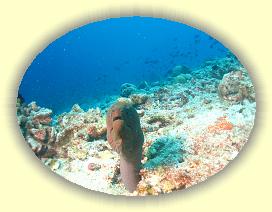 20111118_109 * 2617 x 1963 * (3.52MB)