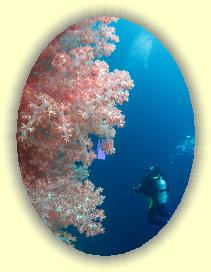 20111118_135 * 2180 x 2914 * (3.91MB)