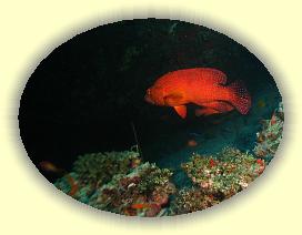 20111119_001 * 2160 x 1625 * (2.2MB)