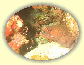 20111119_041 * 3072 x 2304 * (2.86MB)