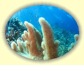 20111120_002 * 2806 x 2111 * (3.58MB)