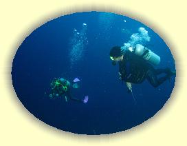 20111120_069 * 2738 x 2060 * (3.96MB)