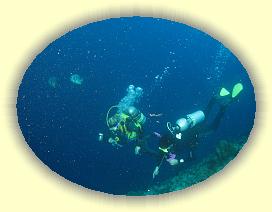 20111120_071 * 2719 x 2046 * (4.16MB)