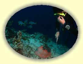 20111120_088 * 2829 x 2129 * (3.56MB)