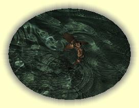 20111121_015 * 3072 x 2304 * (3.79MB)