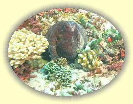 20111121_104 * 2049 x 1542 * (2.47MB)