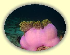 20111121_198 * 3072 x 2304 * (2.46MB)