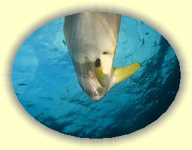 20111121_201 * 3072 x 2304 * (2.31MB)