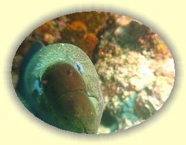 20111122_119 * 3072 x 2304 * (3.71MB)
