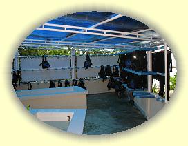 20111123_014 * 3072 x 2304 * (4.13MB)