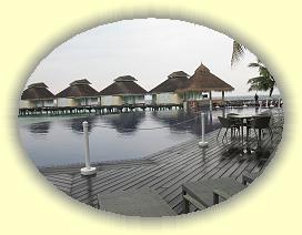 20111123_033 * 3072 x 2304 * (3.14MB)