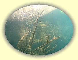 IMG_0073 * 2914 x 2185 * (3.45MB)