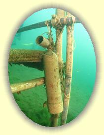 IMG_0091 * 2192 x 2923 * (3.2MB)