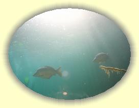 IMG_0105 * 2685 x 2014 * (2.5MB)
