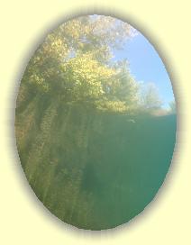 IMG_0112 * 2114 x 2818 * (3.2MB)