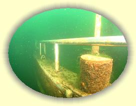 IMG_0159 * 2750 x 2063 * (4.02MB)