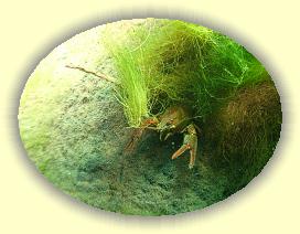 IMG_0289 * 2469 x 1852 * (3.34MB)