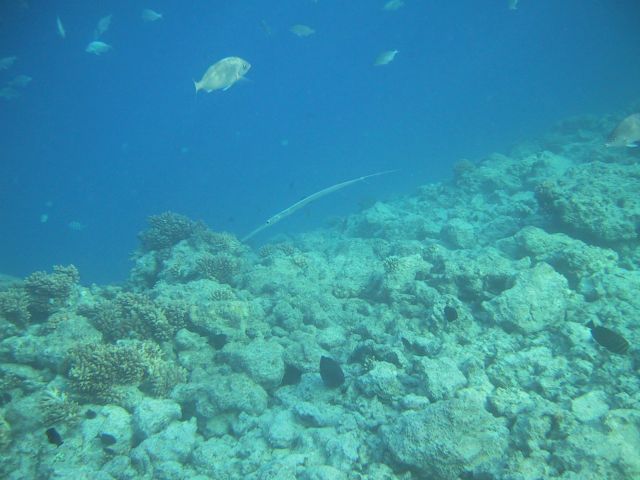 159-5906_IMG.JPG